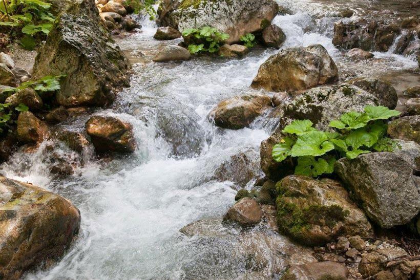 Historic Boutique Hotel Maccarunera