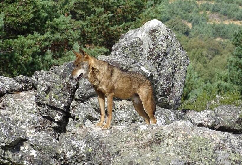 酒店 Hostal Carmen