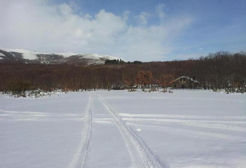 酒店 Hostal Carmen