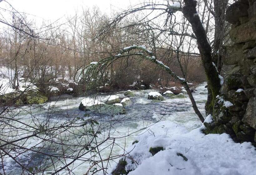 酒店 Hostal Carmen