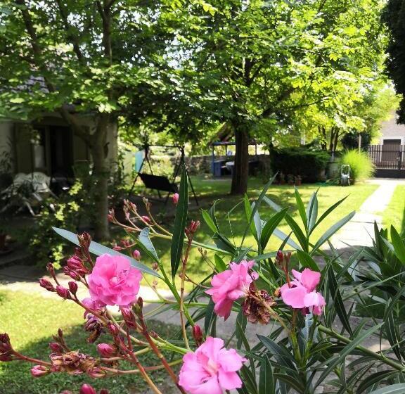 Pensão Elisabeth Vendégház