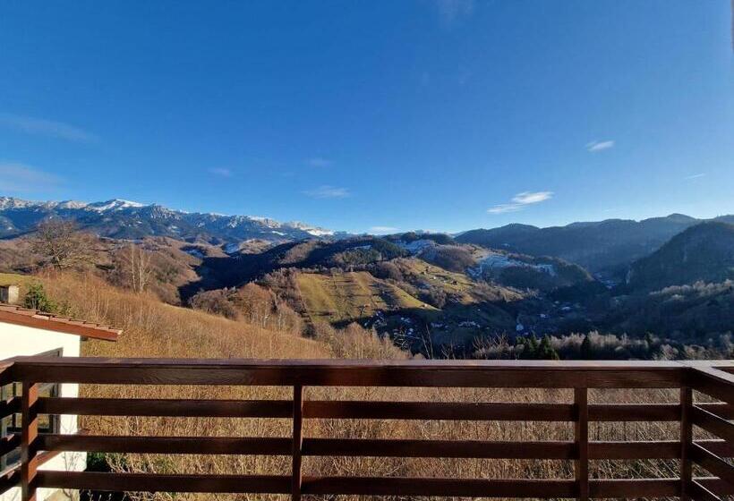 Пансион Hanul Dorului