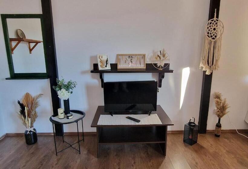 Пансион Hanul Dorului