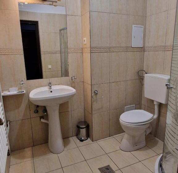 Пансион Hanul Dorului