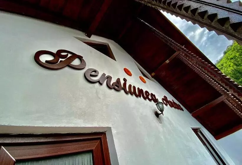 Pensiunea Andra