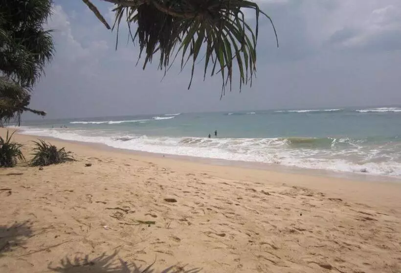 White Surfing Beach Resort