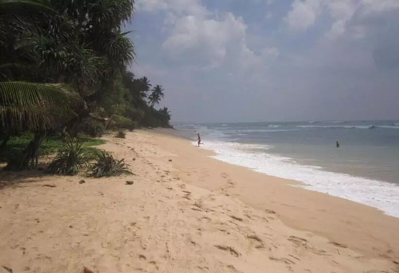 White Surfing Beach Resort