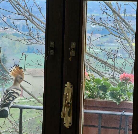 پانسیون Castel Secolo Xiii Assisi Perugia