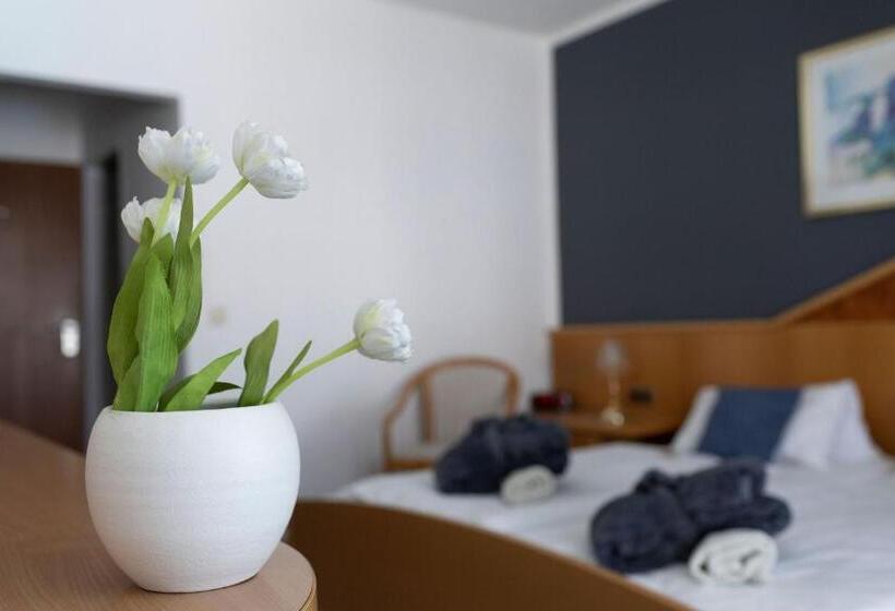 Thermenclubhotel All In