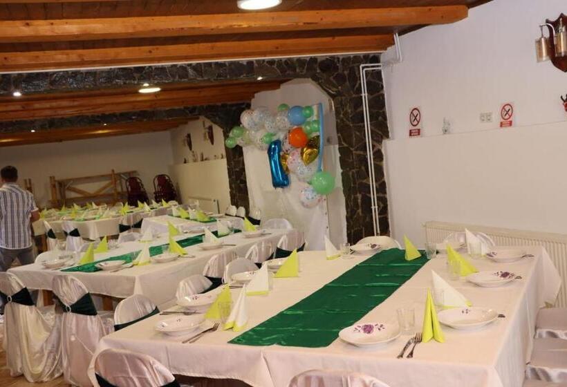 Pensiunea Casa Roman