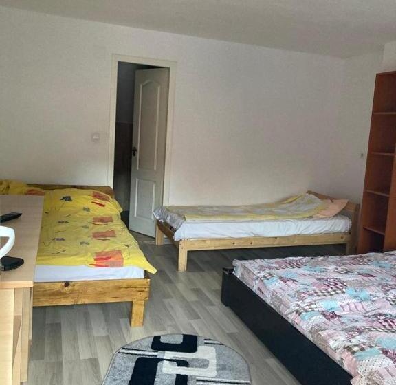 Pensiunea Casa Roman