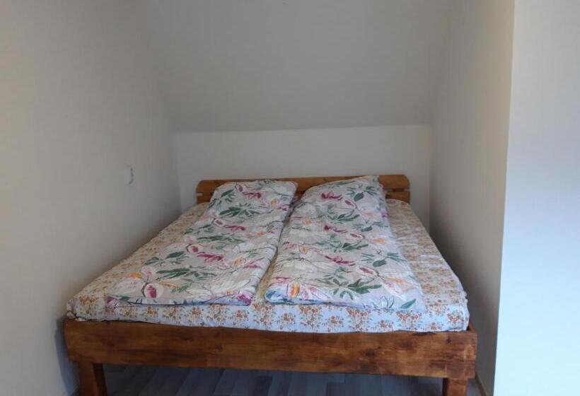 Pensiunea Casa Roman