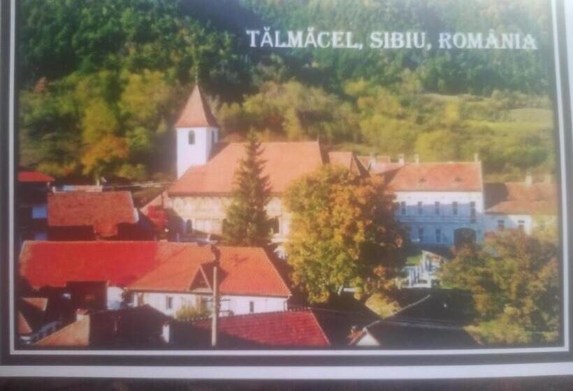 Pensiunea Casa Roman