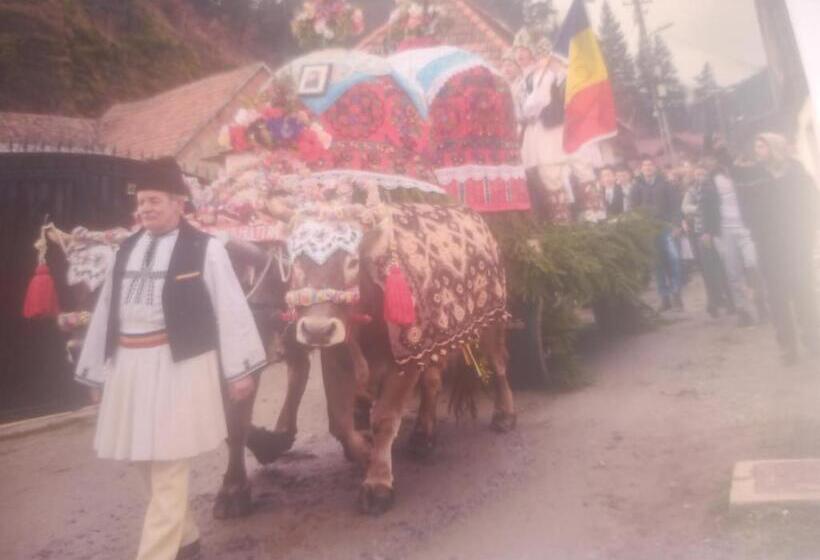 Pensiunea Casa Roman