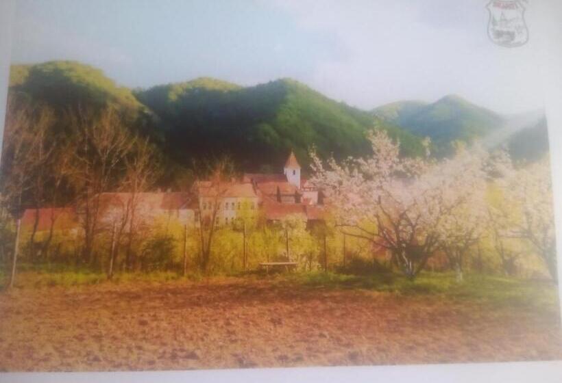 Pensiunea Casa Roman