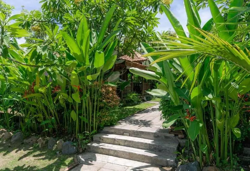 Bali Desa Asri