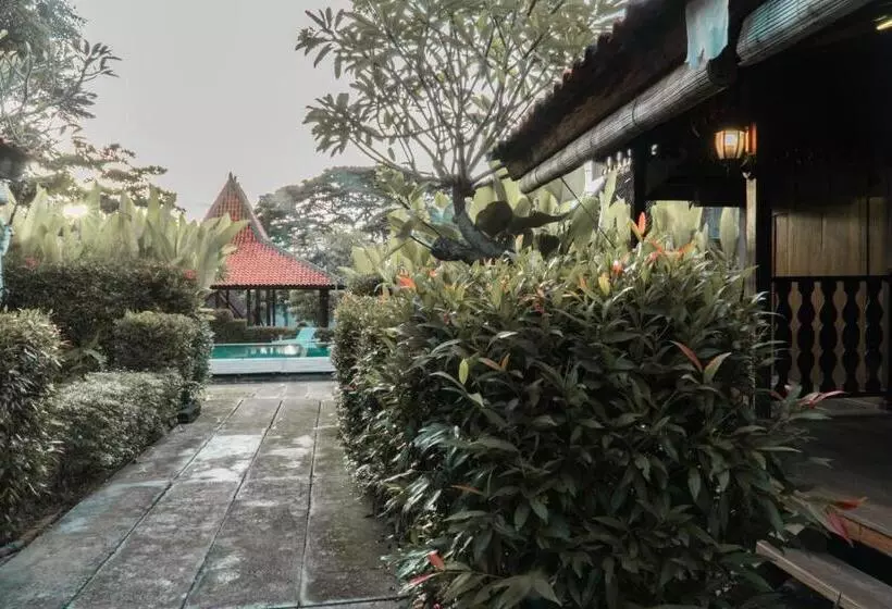 Bali Desa Asri
