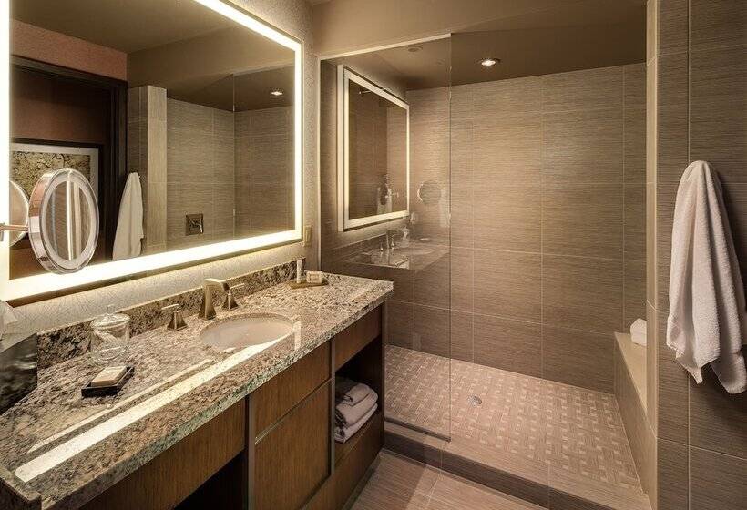 Choctaw Casino Resort   Durant