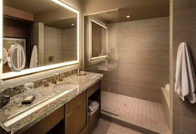 Choctaw Casino Resort   Durant