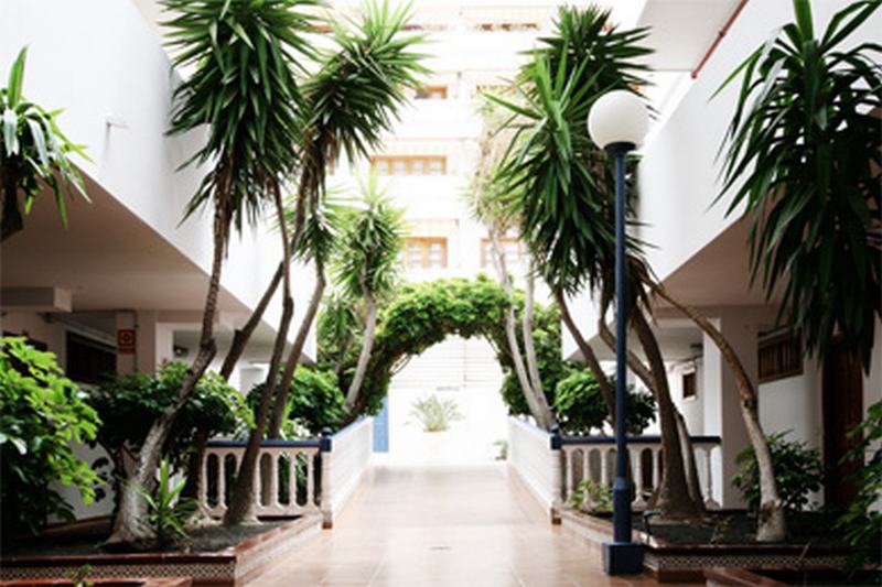 Отель Club Olympus Resort