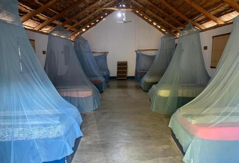 בית מלון כפרי Complexo Alemanha   Vilanculos Backpacker