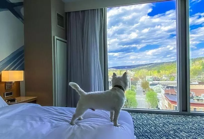 ホテル Ithaca Marriott Downtown On The Commons