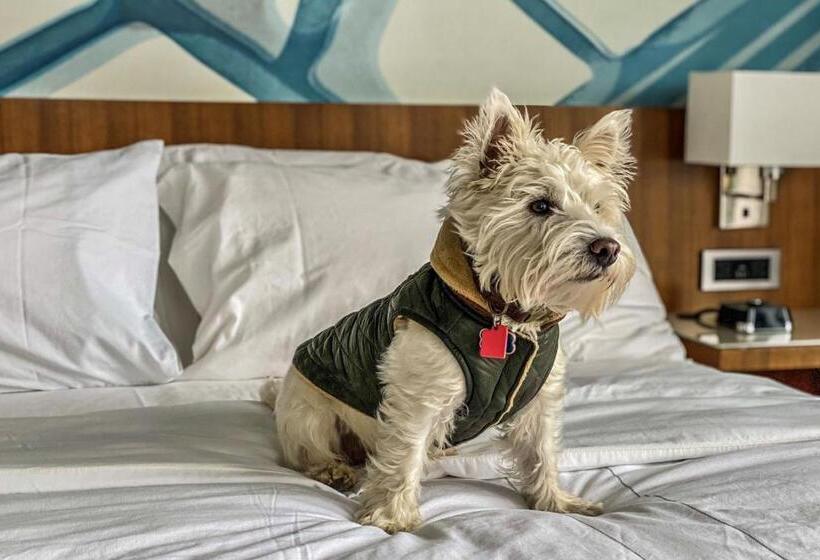 Отель Ithaca Marriott Downtown On The Commons