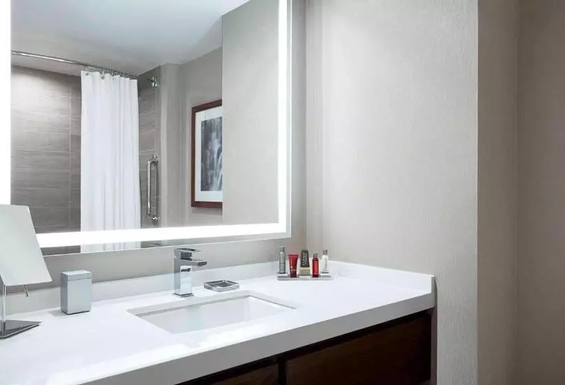 ホテル Ithaca Marriott Downtown On The Commons