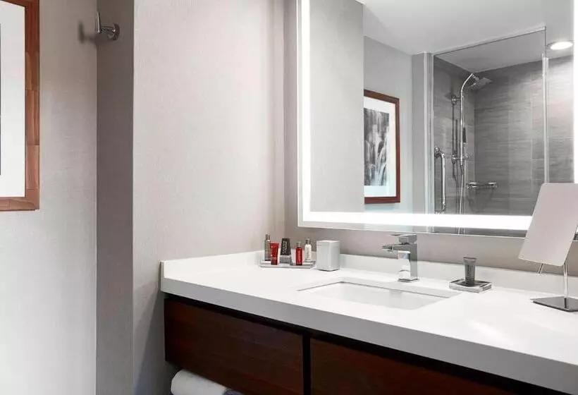 ホテル Ithaca Marriott Downtown On The Commons