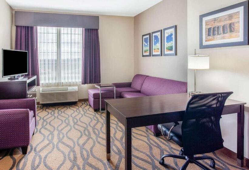 فندق La Quinta By Wyndham Luling