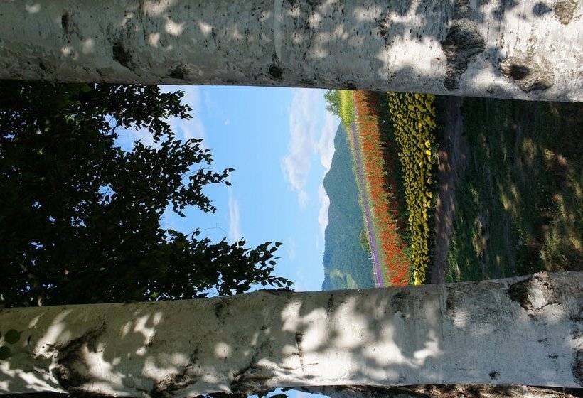 Hotel Pension Hoshi Ni Negaiwo