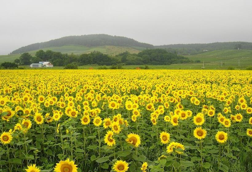 Hotel Pension Hoshi Ni Negaiwo