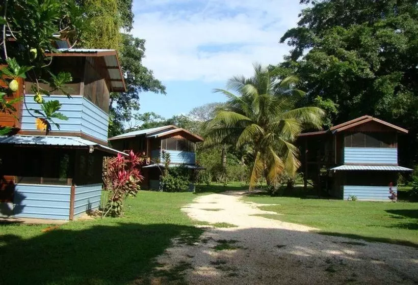 ホテル River House Lodge