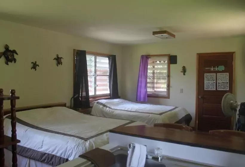 ホテル River House Lodge