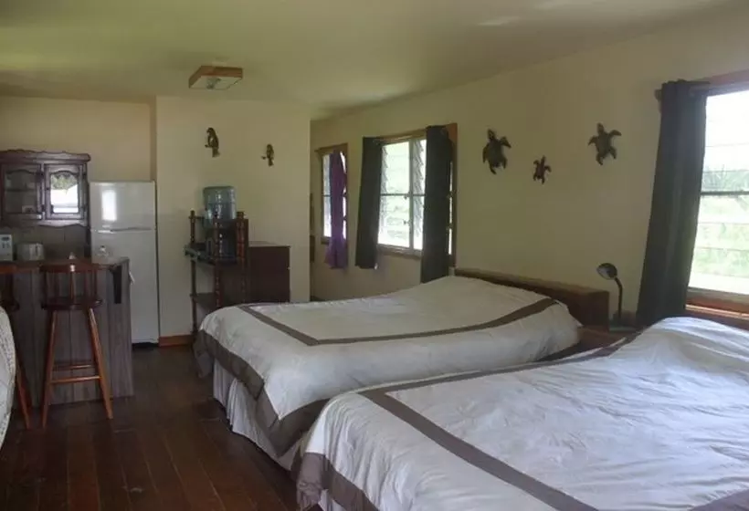 ホテル River House Lodge
