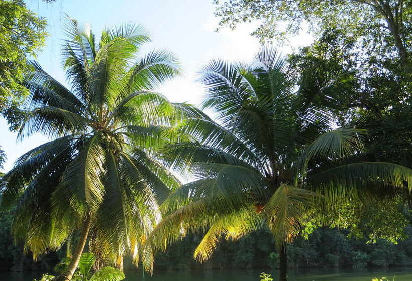 فندق River House Lodge