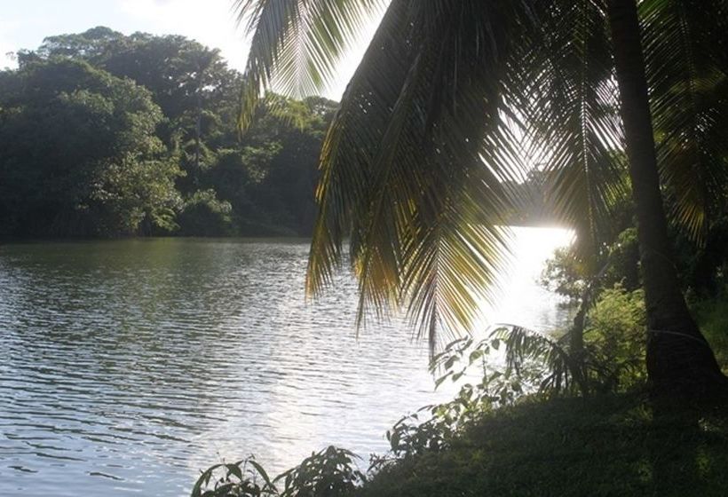 فندق River House Lodge