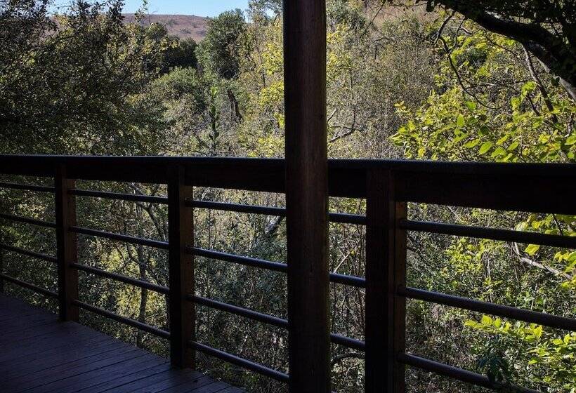 בית מלון כפרי Valley Of The Rainbow Estate