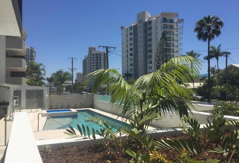 Verve On Cotton Tree