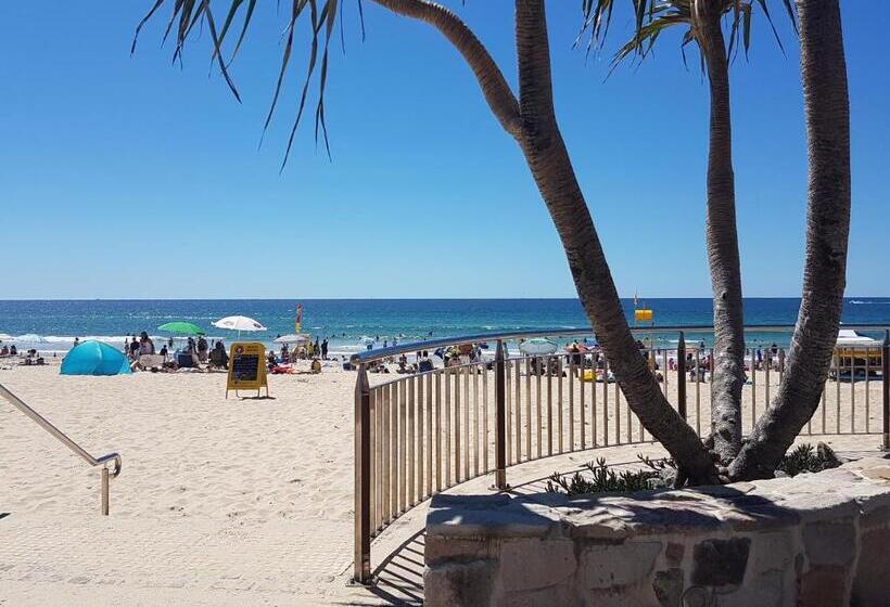 Verve On Cotton Tree