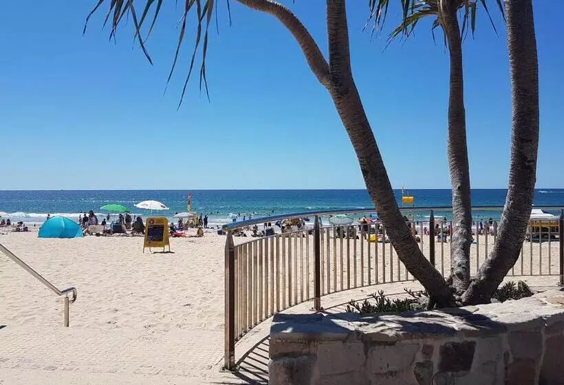 Verve On Cotton Tree