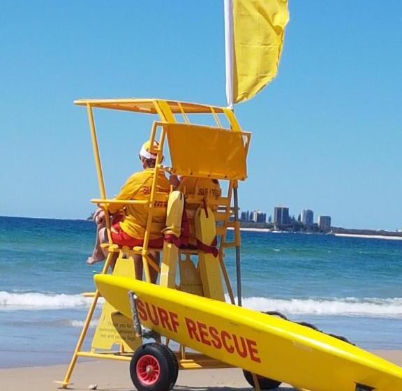 Verve On Cotton Tree