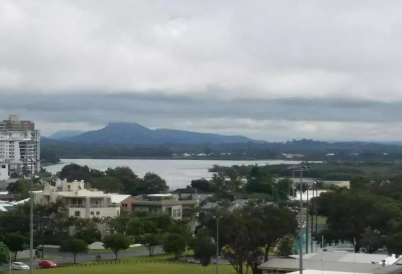 Verve On Cotton Tree
