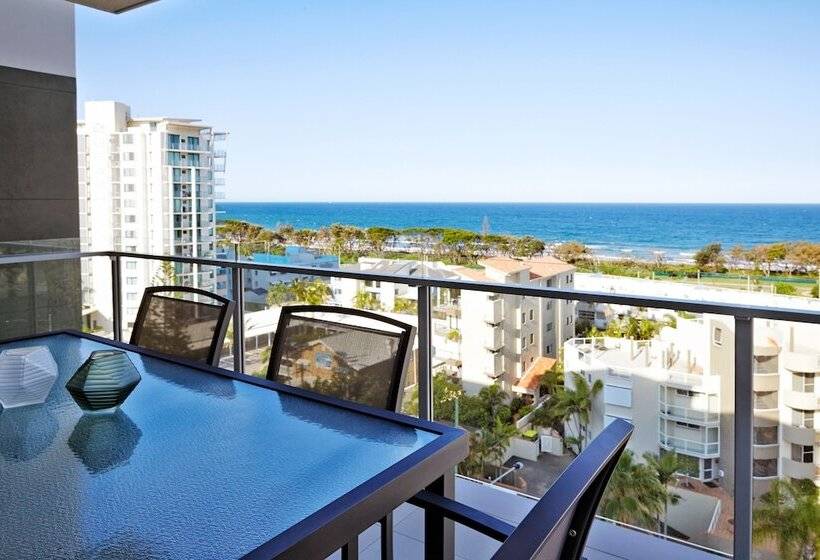 Verve On Cotton Tree