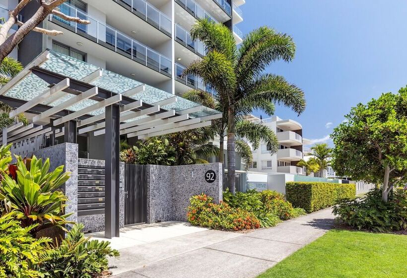 Verve On Cotton Tree