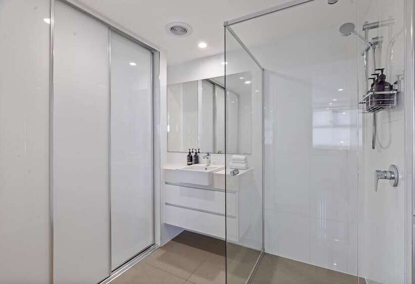 Verve On Cotton Tree