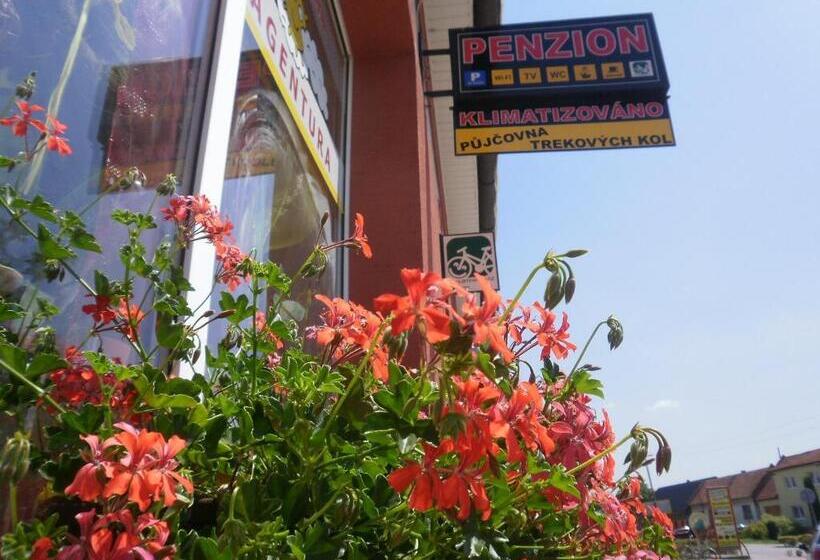 ペンション Dj Penzion