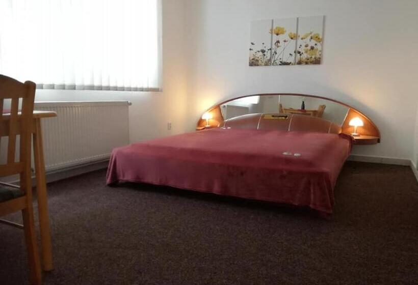 ペンション Dj Penzion