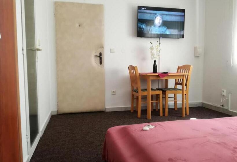 ペンション Dj Penzion