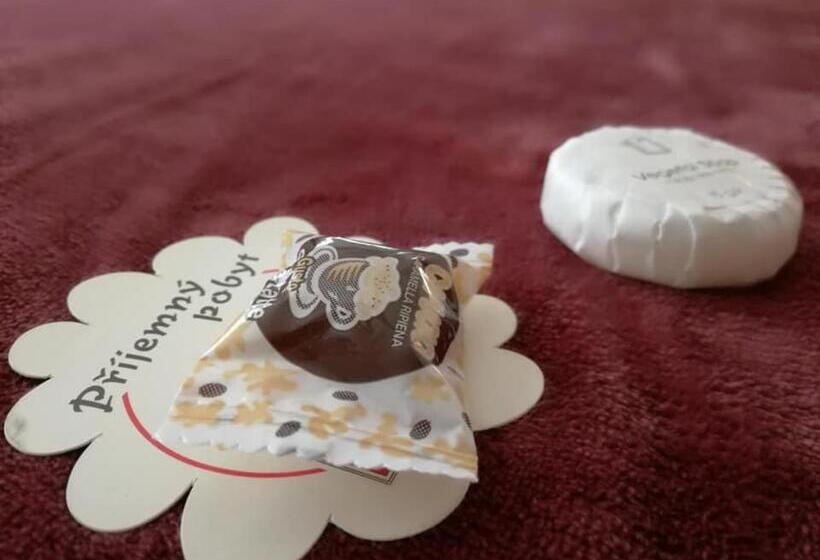 ペンション Dj Penzion